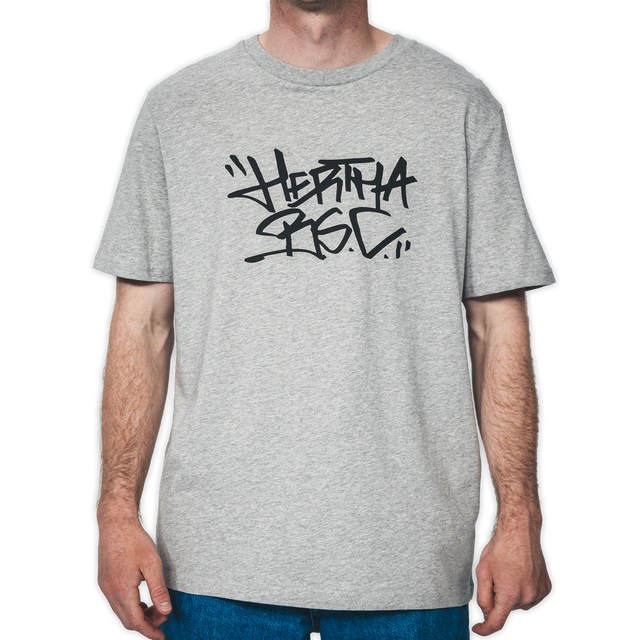 T-Shirt Hertha BSC Tag Grau Frontansicht