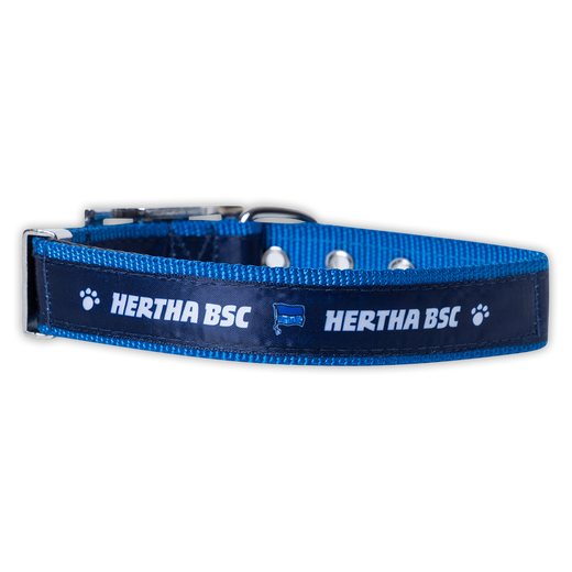 Hundehalsband Hertha BSC
