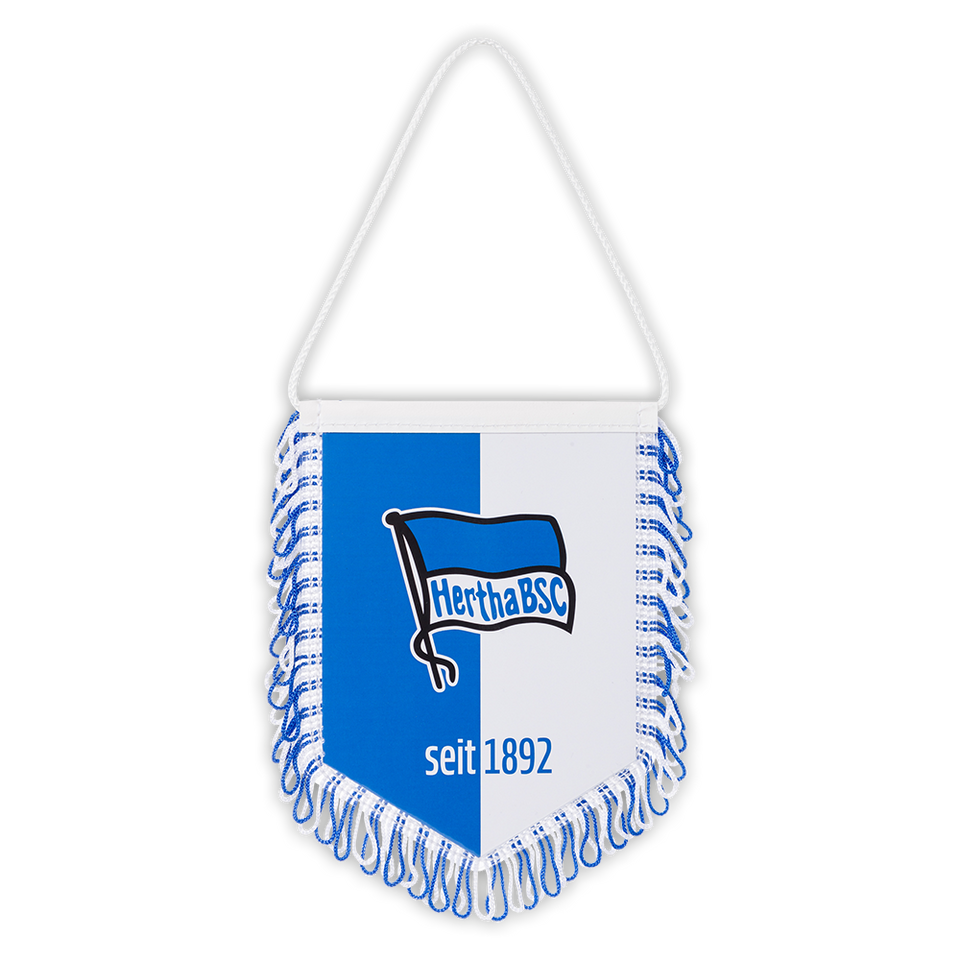 Banner Blau-Weiß PVC 14 cm