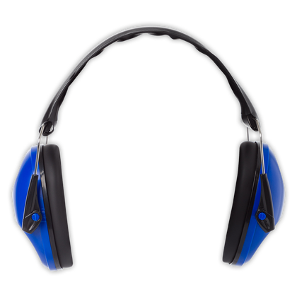 Hertha Gehörschutz Fahne