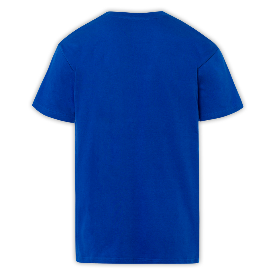 Hertha T-Shirt Royal HERTHA BSC Kids