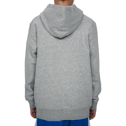 Hoodie Hertha BSC Tag Kids Grau Rückansicht