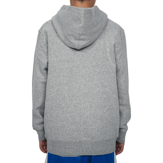 Hoodie Hertha BSC Tag Kids Grau Rückansicht