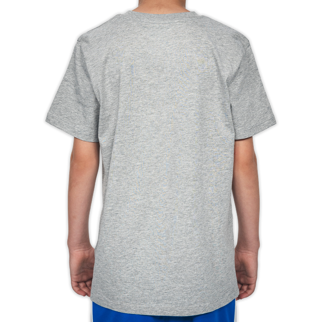 Shirt Hertha BSC Tag Kids Grau Rückansicht