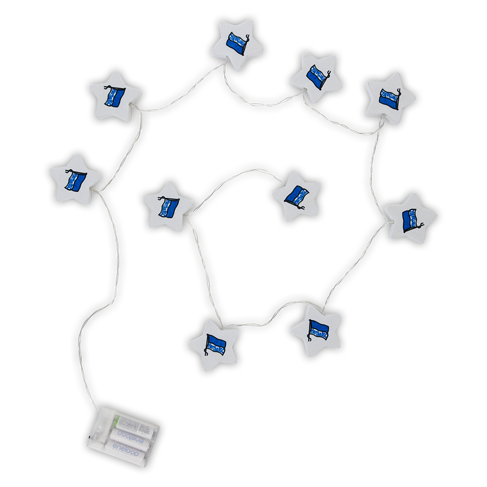 Hertha Filz-Lichterkette Fahne