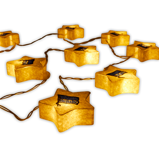 Hertha Filz-Lichterkette Fahne Detail an