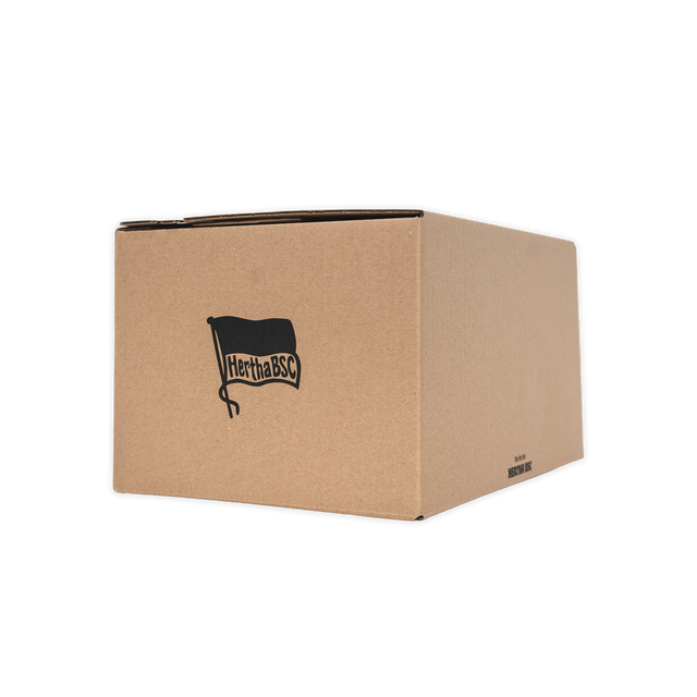 Hertha Überraschungsbox Ostern 2026 Seitenansicht