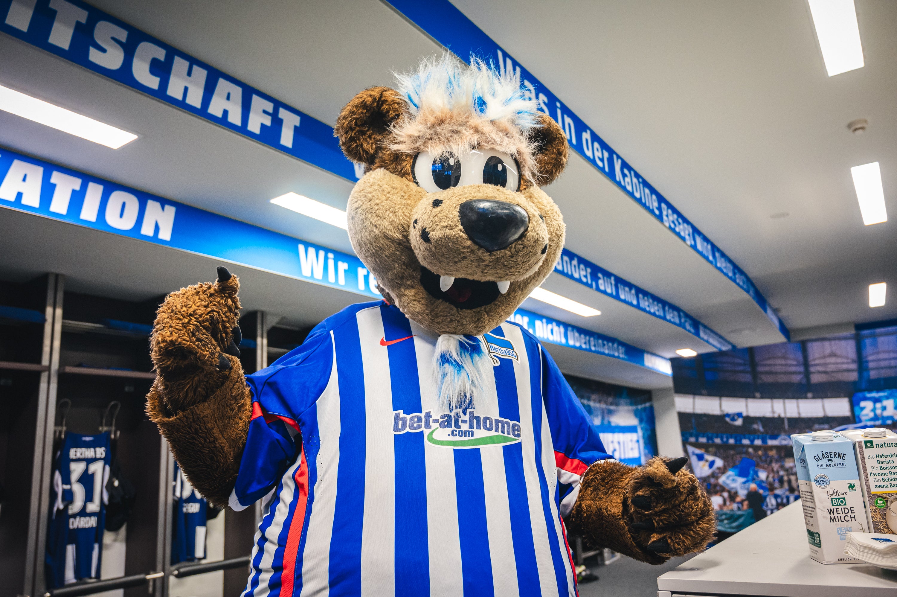 Herthinho Heimtrikot 2015/16