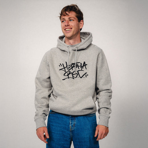 Hoodie Hertha BSC Tag Grau
