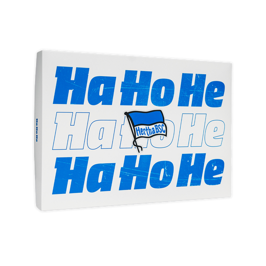 Hertha BSC Gutschein für eine Mitgliedschaft Geschenkbox