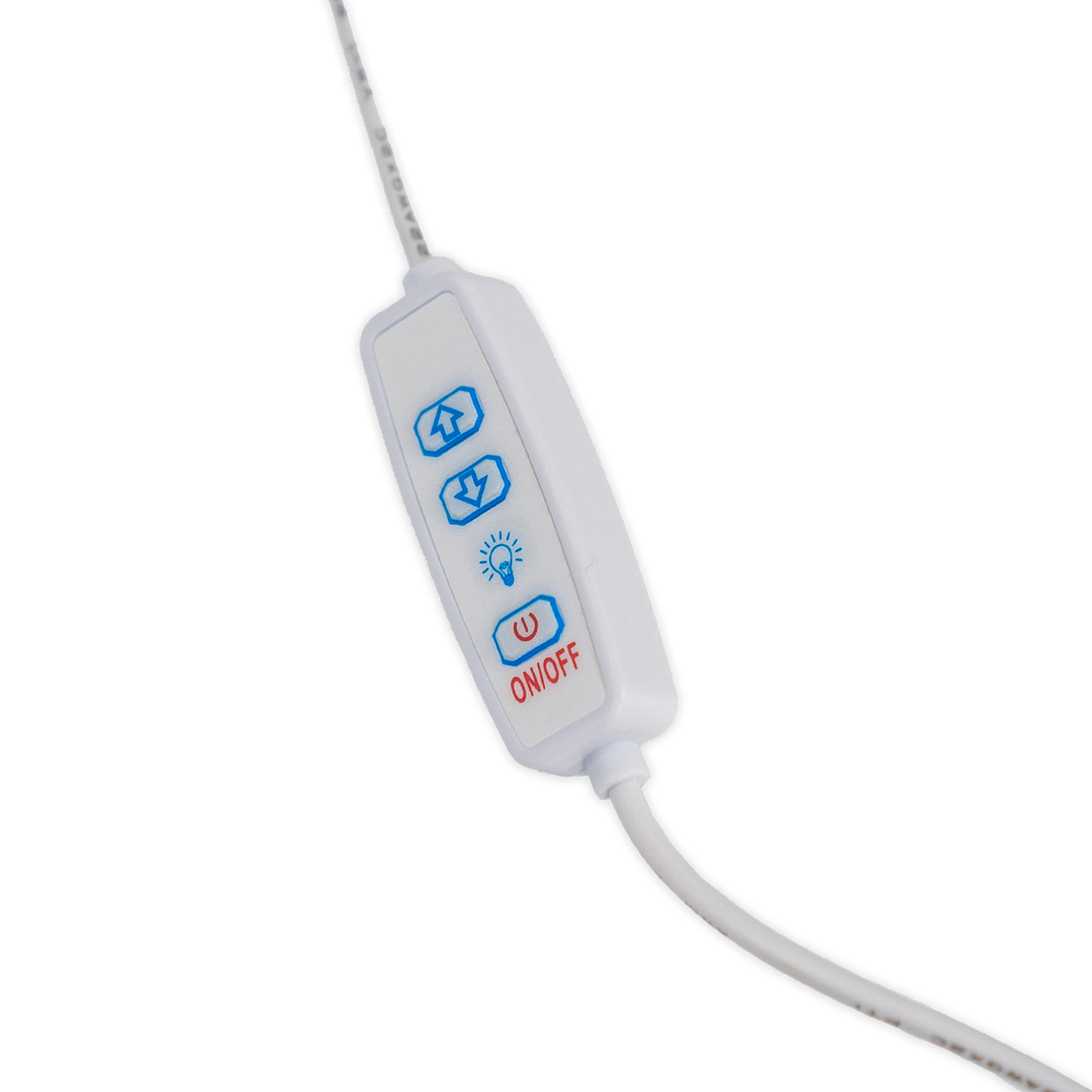 Neon-Licht Tag Hertha BSC